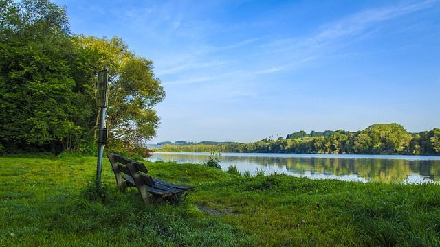 Lago y viñedos en la región de Finger Lakes