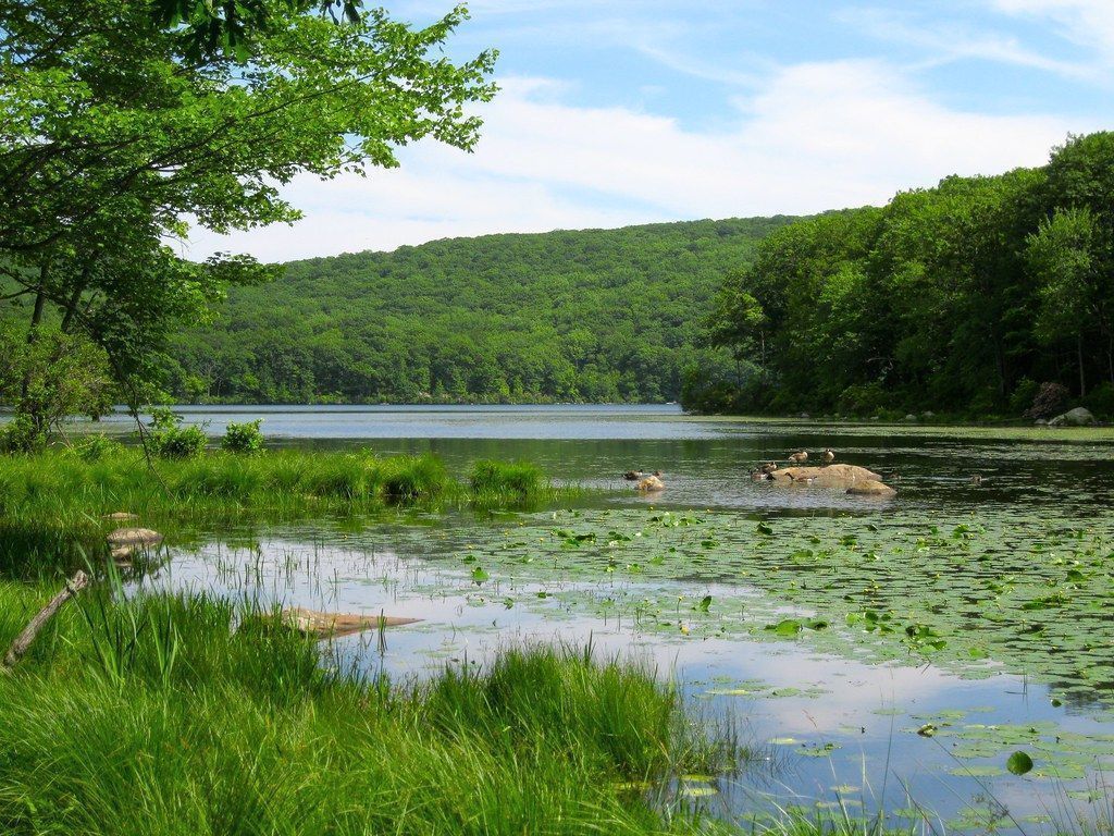 Lago en Harriman State Park