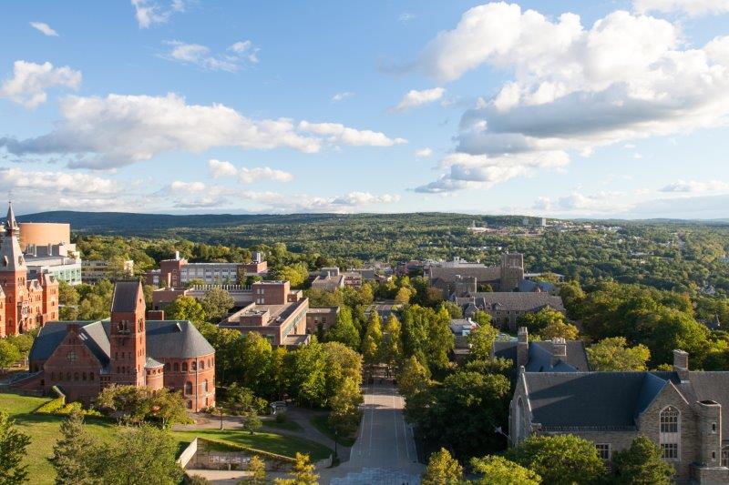 Cascadas Buttermilk en Ithaca