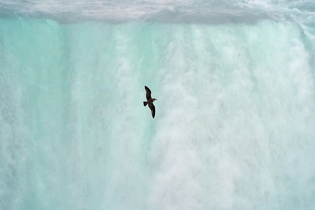 Paisajes y viñedos cercanos a Niágara